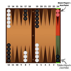 Backgammon Ace Review - Backgammon Rules